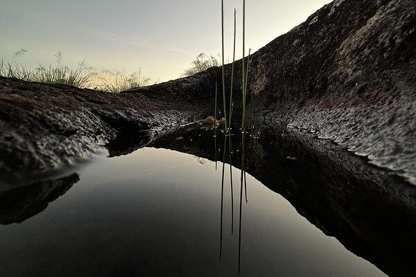 54630862946_238601beb0_c