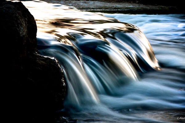 54631070419_5799b6842e_c