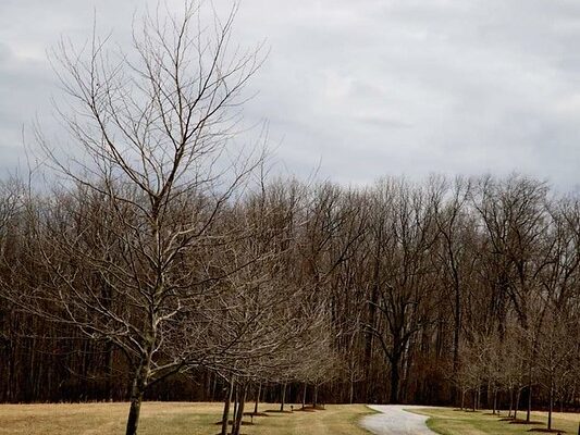 54631083438_03713b23f6_c