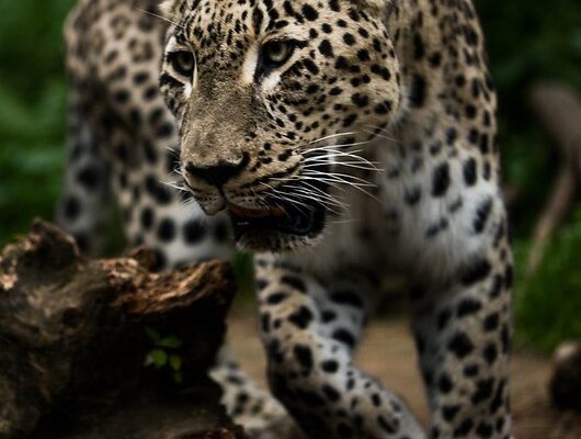 54631128465_4863a20bd5_c